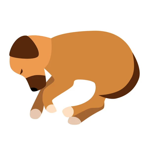 Sleeping dog flat illustration on white — Stock Vector