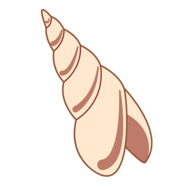 Kabuk düz resimde beyaz