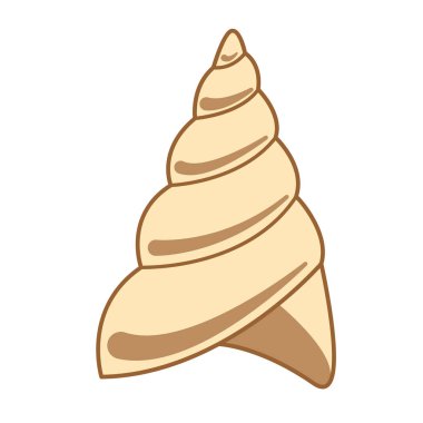 Kabuk düz resimde beyaz