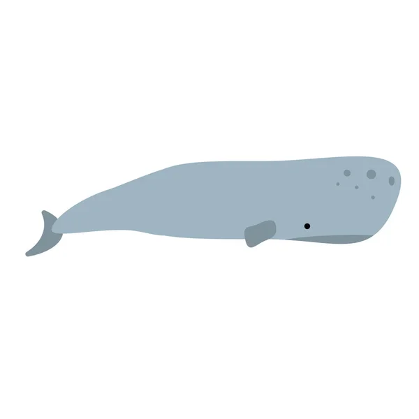 Illustration plate de baleine sur blanc — Image vectorielle