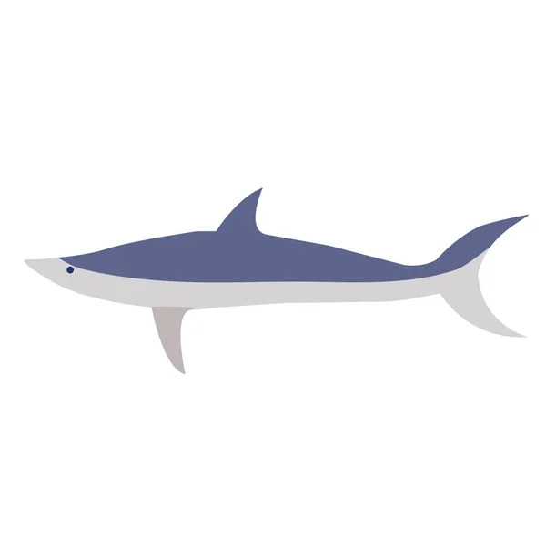 Illustration plate requin sur blanc — Image vectorielle