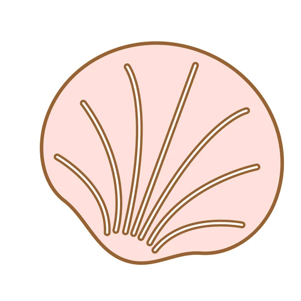 Shell flat illustration on white — Stock Vector