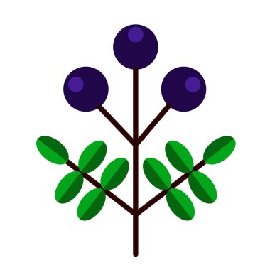 beyaz daire illüstrasyon orman meyve