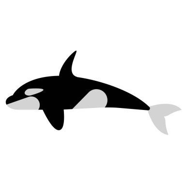 Düz resimde beyaz balina