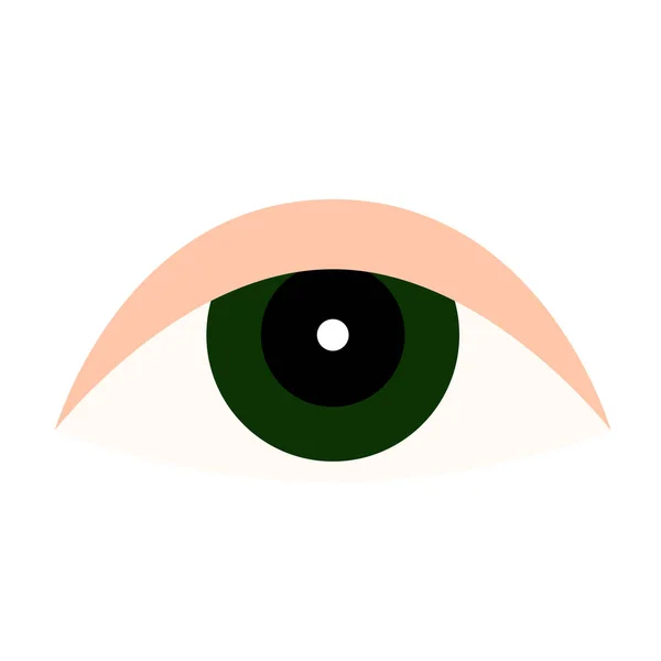 Ilustrasi datar mata pada warna putih - Stok Vektor