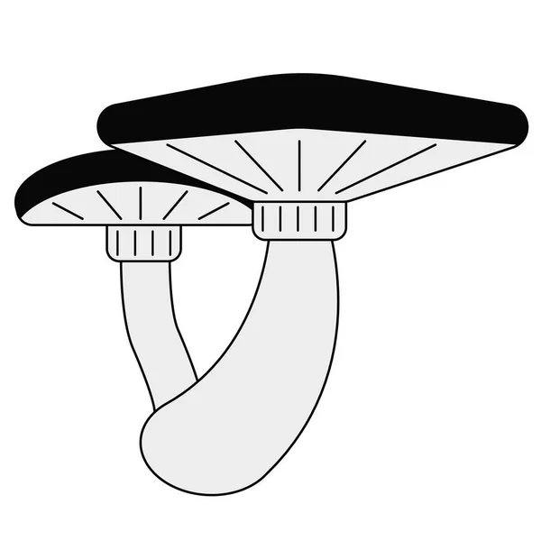 Funghi piatto illustrazione su bianco — Vettoriale Stock