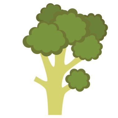 Brokoli düz resimde beyaz