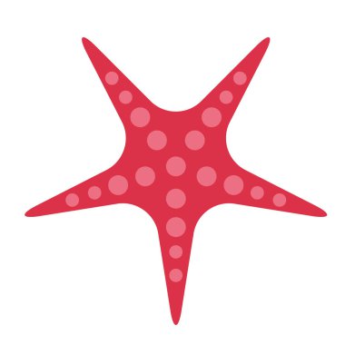 Deniz yıldızı düz resimde beyaz