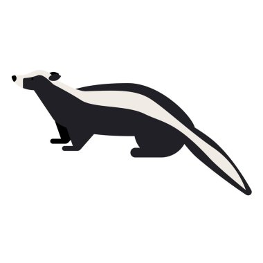 beyaz düz illüstrasyon kokarca