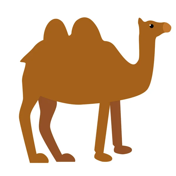 Ilustración plana de camello en blanco — Vector de stock