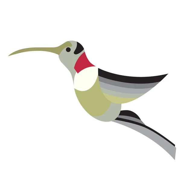 Colibri illustration plate sur blanc — Image vectorielle