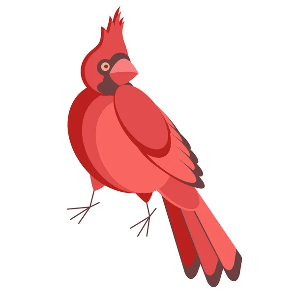 Ilustración plana pájaro cardinal en blanco — Vector de stock