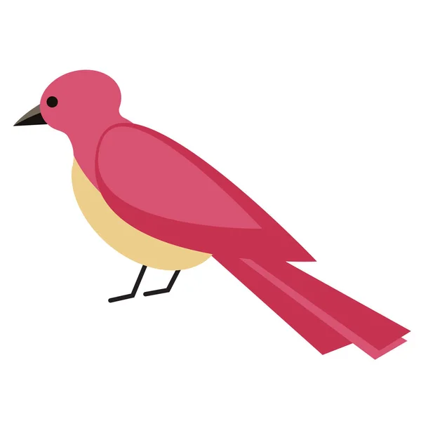 Oiseau rouge illustration plate sur blanc — Image vectorielle