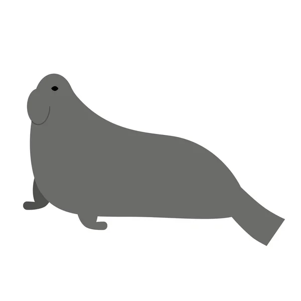 León marino ilustración plana en blanco — Vector de stock