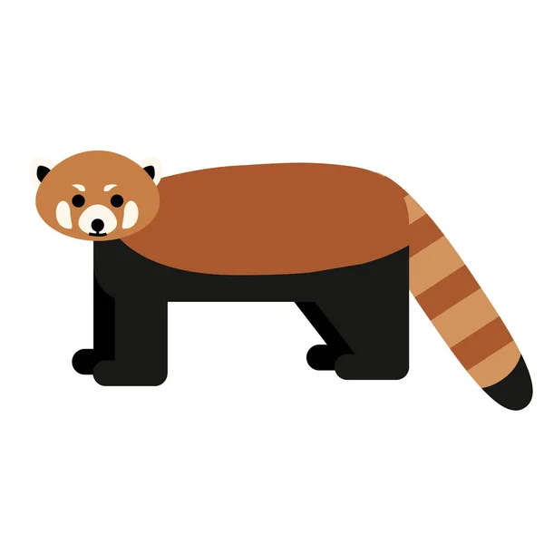 Beyaz kırmızı panda düz illüstrasyon — Stok Vektör