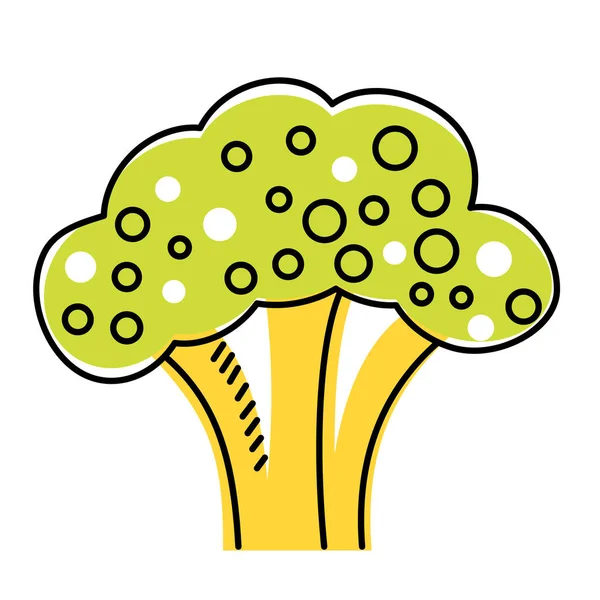 Brócoli ilustración plana en blanco — Vector de stock