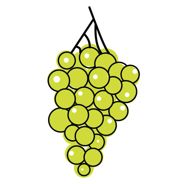 Beyaz düz illüstrasyon yeşil üzüm — Stok Vektör