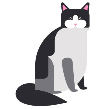 Beyaz üzerine siyah ve beyaz kedi düz illüstrasyon