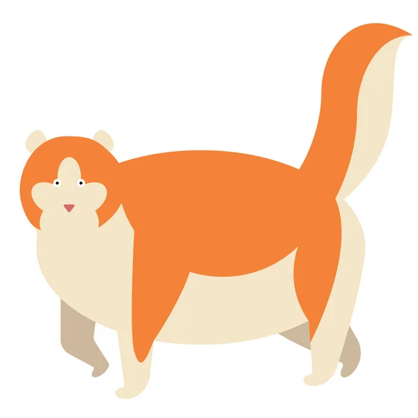 Vörös macska lakás illusztrációja a fehér — Stock Vector