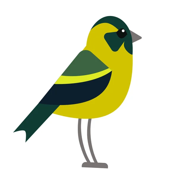 明るい森林鳥フラット図 — ストックベクタ