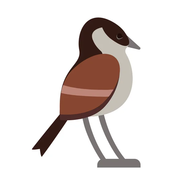 Marrón bosque pájaro plano ilustración — Vector de stock