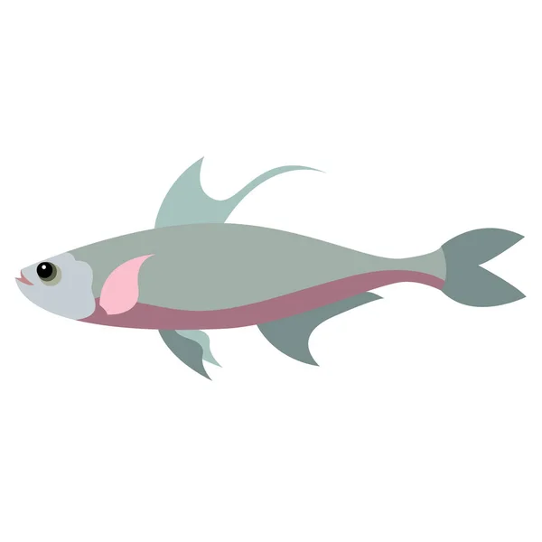Grey fish flat illustration — Stock Vector
