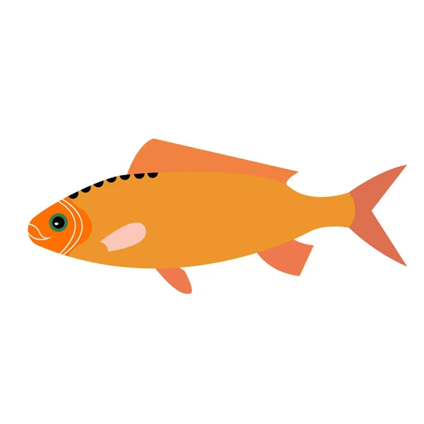Orange fish flat illustration — Stock Vector