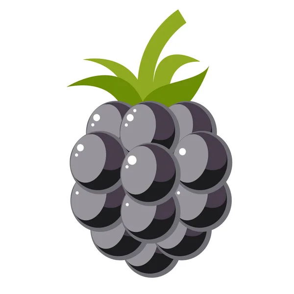 Blackberry ilustración plana en blanco — Vector de stock