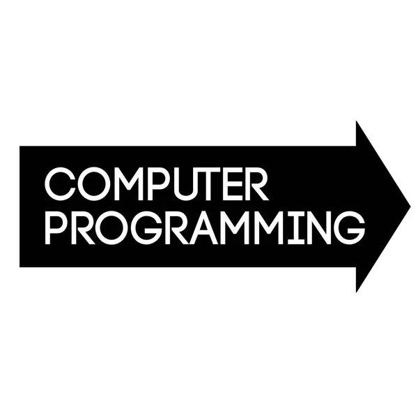 Sello de PROGRAMACIÓN COMPUTADORA sobre fondo blanco — Archivo Imágenes Vectoriales