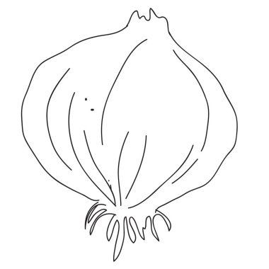 Arka planda izole edilmiş soğan el çizilmiş illüstrasyon