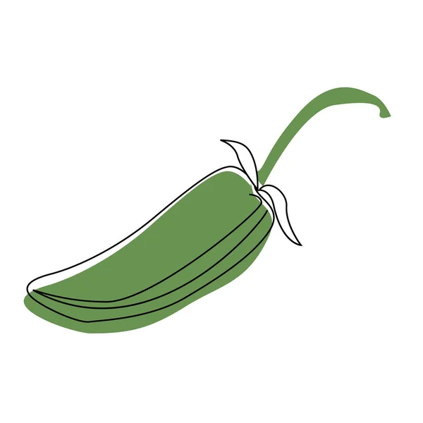 Jalapeno handgezeichnete Illustration isoliert auf dem Hintergrund — Stockvektor