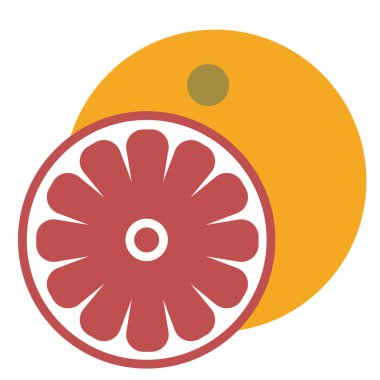 Greyfurt düz illüstrasyon beyaz