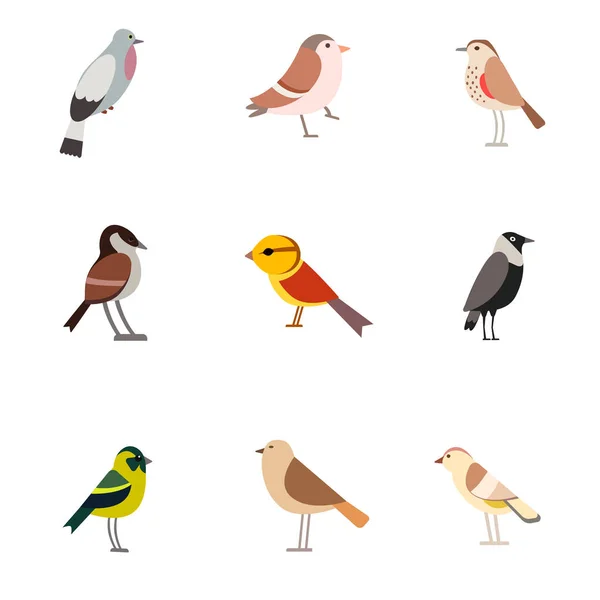 Ilustración plana del patrón de aves en blanco — Vector de stock