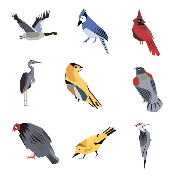 Ilustración plana del patrón de aves en blanco — Vector de stock