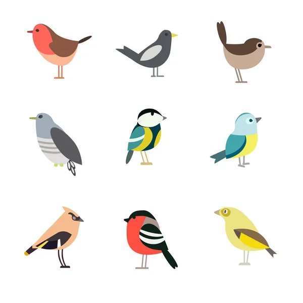 Bird pattern flat illustration on white — Stock Vector