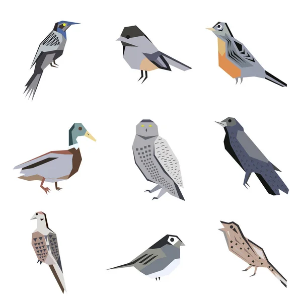 Ilustración plana del patrón de aves en blanco — Vector de stock