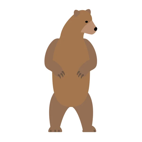 Standing bear flat illustration on white — Stock Vector
