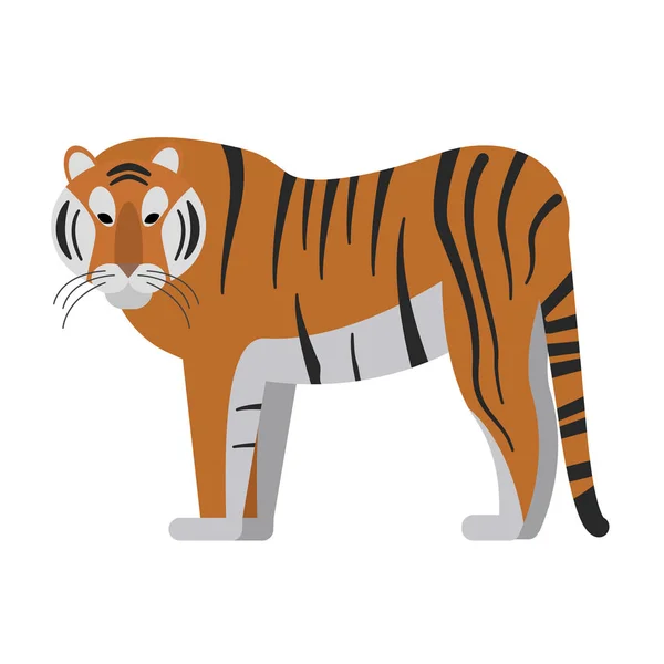 Тигровая плоская иллюстрация на белом — стоковый вектор