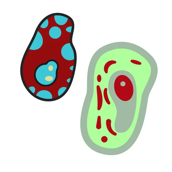 Bacterias plano ilustración diseño gráfico — Vector de stock