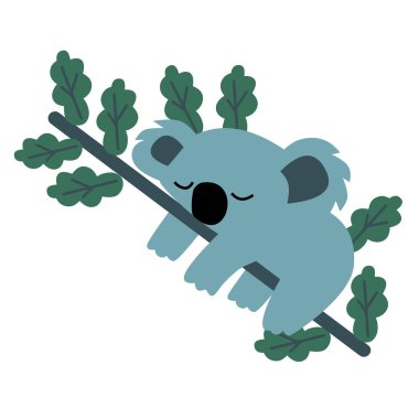 Beyaz arka planda Koala basit Illustration
