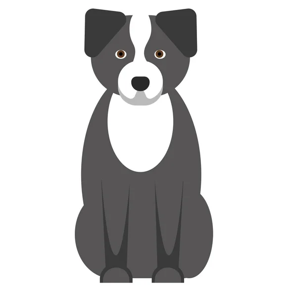 Border Collie Illustration auf weißem Hintergrund — Stockvektor