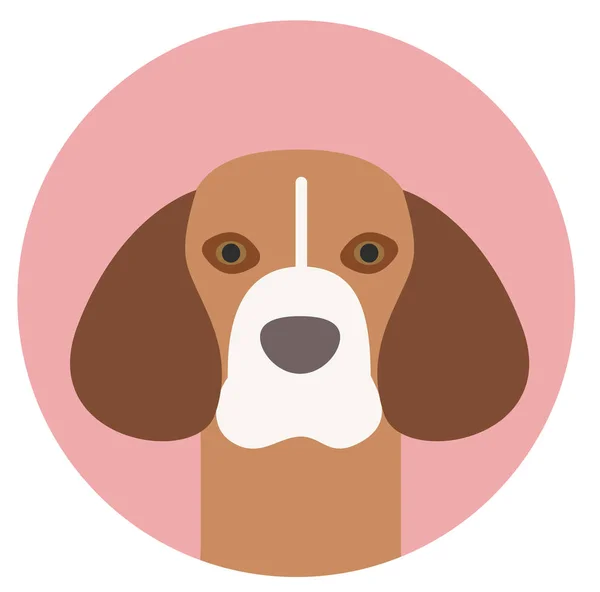 Beagle Illustration im Kreis Illustration auf weißem Hintergrund — Stockvektor