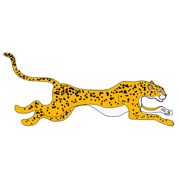 Cheetah illustration på vit bakgrund — Stock vektor