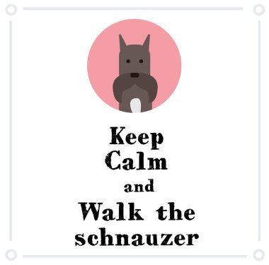 Sakin ol ve Schnauzer 'i dolaştır.