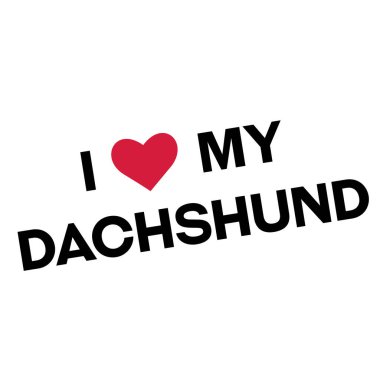 Dachshund 'umu seviyorum, beyaz arkaplanda resimlerim var.