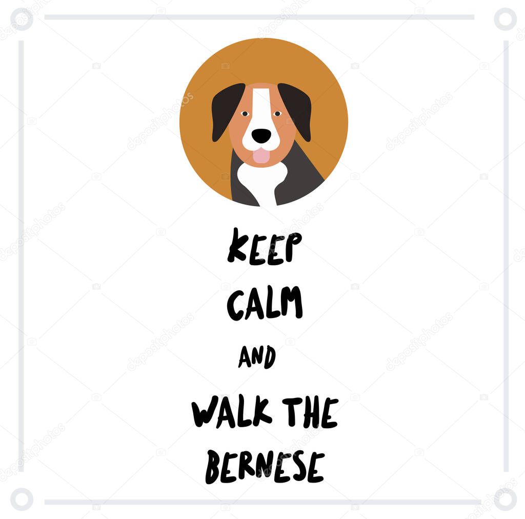 Keep Calm and walk the bernese mountain dog