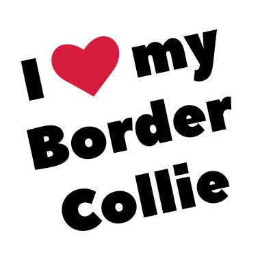 Sınır çoban köpeğimi seviyorum, beyaz arkaplanda resimlerim var.