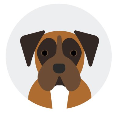 Boksör, beyaz arkaplan düz biçimi illüstrasyon