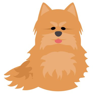 Spitz, beyaz arkaplan düz biçimi üzerine illüstrasyon