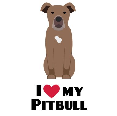 Pitbulumu seviyorum, beyaz arka planda resimlerim var.